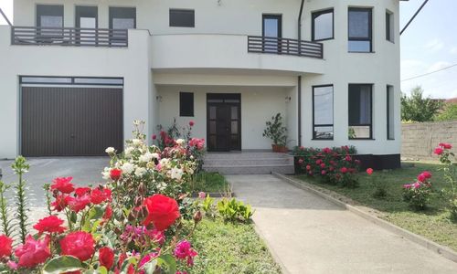 Vila Aladin Târgu Jiu