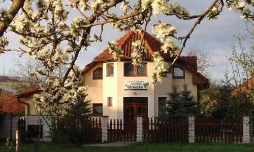 Penzion a Vinný sklep Mičulka Blatnička