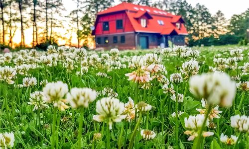Apartman Giżycko - PMA859