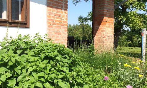 Málnazöld Vendégház Szatta