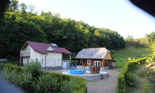 Cabana La Cretu Rozavlea