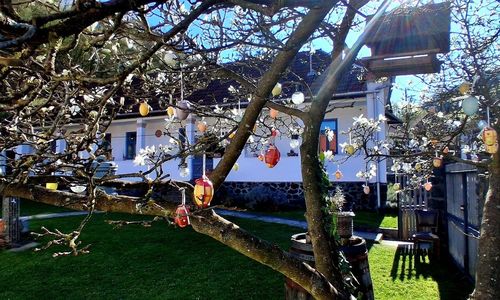 Kiskilenc Vendégház Szarvaskő