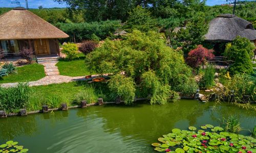 Agroturystyka Mirabelkowe Zacisze