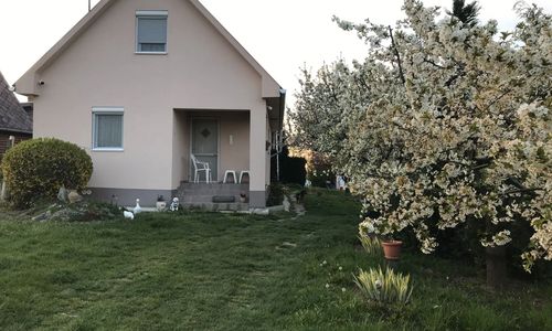 ZSUTI Apartman Tarpa