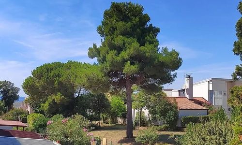 Apartman Golden Sun Novigrad