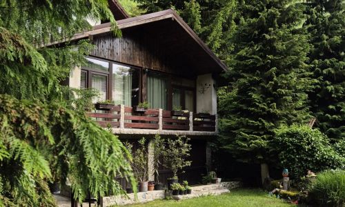 Căsuța Floare de Colț Clopotiva