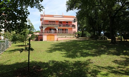 Apartmani Iva Malinska