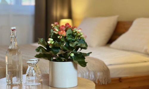 Pension MARISLAV Pištín