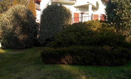 Zöld Oázis Vendégház Igal