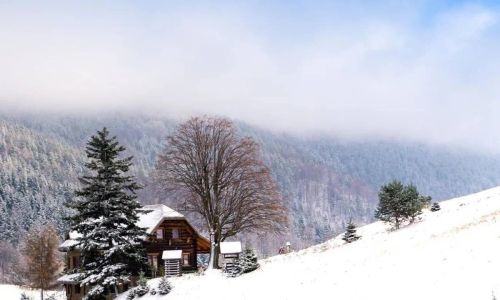 Lipowe Wzgórze Limanowa