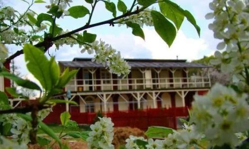 Kemp U Šerifa Protivín