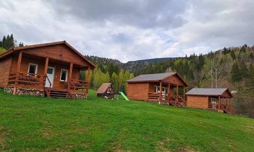 Arama Neagra Izvoru Mureșului