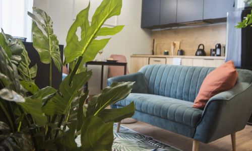 Dream Team Paderewskiego Bydgoszcz