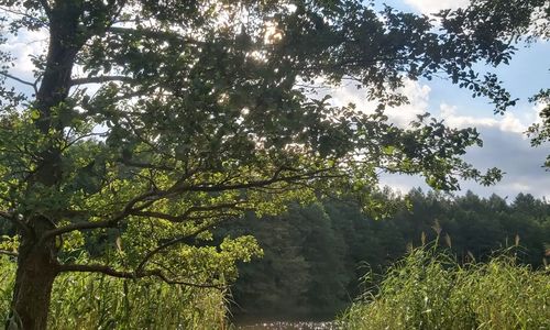 Dom nad Jeziorem Balia Basen Rudzienice