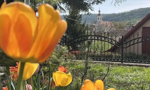 Malomvölgy Vendégház Tardos