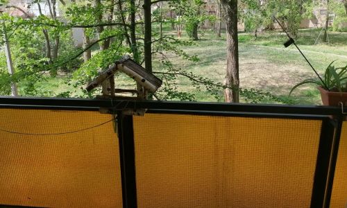 Erzsébet Vendégház Szarvas