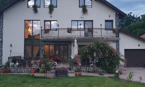 Casa Irina Romanii de Jos