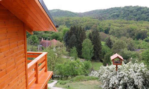 Szajkó Fakuckó*** Tamási