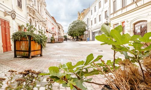 Király 40 Apartman Pécs