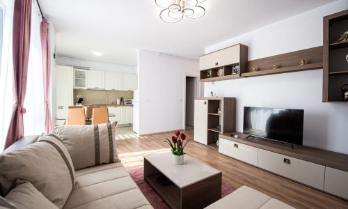 Claseb Apartment Timișoara