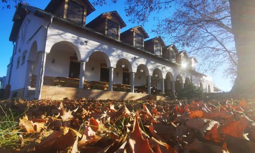 Lovasbarát Fogadó Győrújbarát