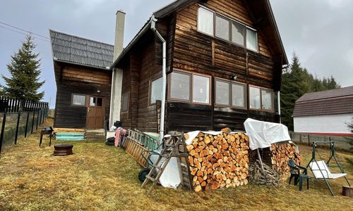 Cabana primitoare cu semineu Bălcești