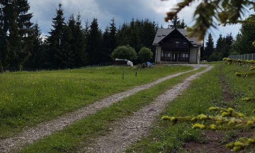 Cabana Panorama Borzont