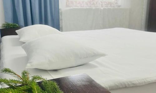 Pensiunea Guest House La TaTa Neagra Șarului