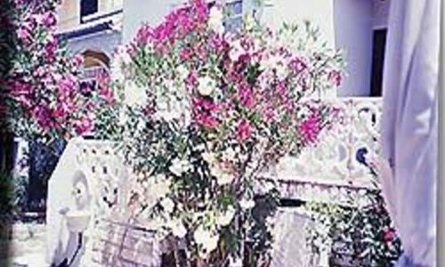 Apartmani Hotic Barbat
