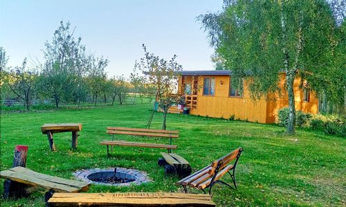 Brzozowy Gaj  Orzechów Kolonia