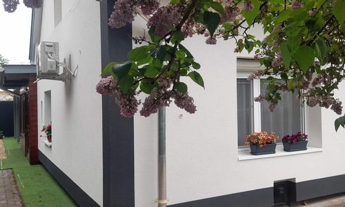 Bazsalikom Apartman Mezőkövesd