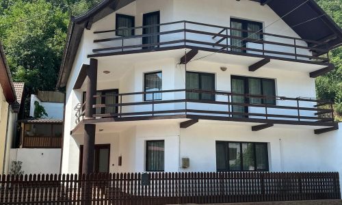 Casa Bașu Băile Herculane