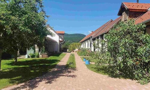 Mayday Cottage Pócsmegyer