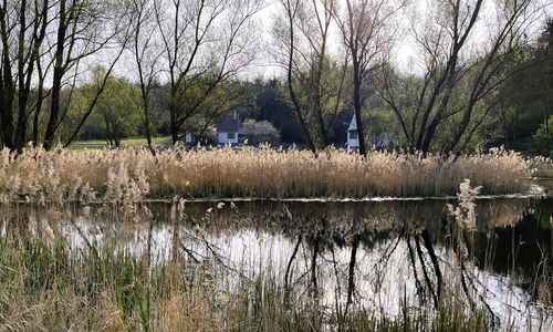 Kökényház Vendégház Kötcse