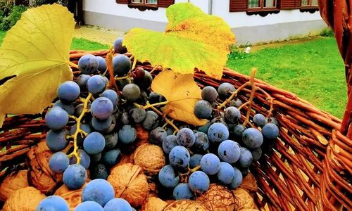 Őrség Kincse Vendégház Hegyhátszentjakab