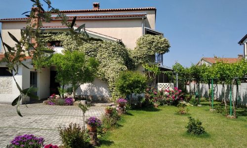 Apartments Bozac Porec