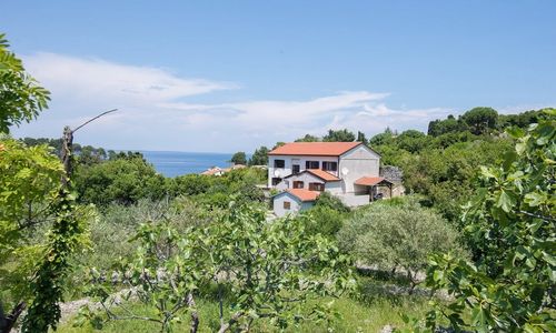 Apartmanok Internet Hozzáféréssel Veli Losinj, Losinj - 19799 Veli Lošinj