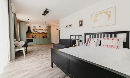 Schiller Apartment 64 Brașov