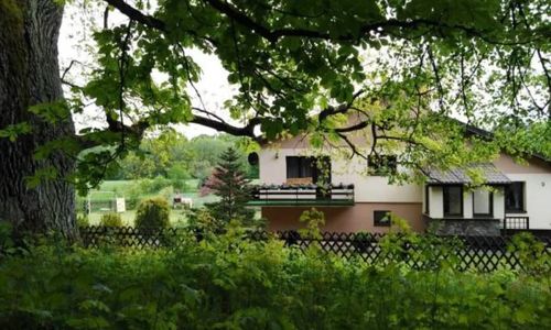 Dom Czar Lasu na Kaszubach - Grzybowski Młyn