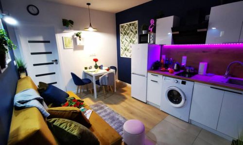 V Stylowe dwupokojowe mieszkanie nad kanałem! SKM! Warszawa