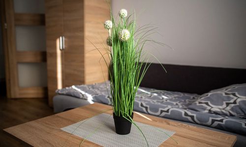 Apartamenty Noclegi u Moniki Janowiec Wielkopolski