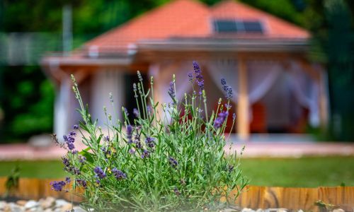 Vagabond Vendégház Valkonya