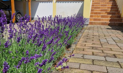 Kishegyi Vendégház Zalaegerszeg