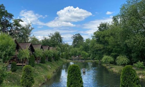 Păstrăvăria Alina Sârbi