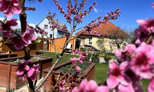 Négy Évszak Vendégház Nyúl