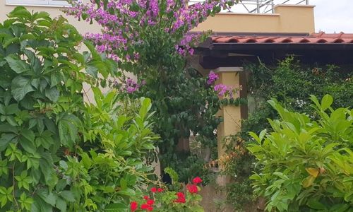 Apartman Sara Uvala Osibova Milna