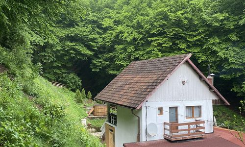 Casuta Din Padure Toplita Hunedoara