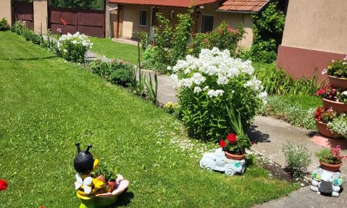 Pensiunea Izvorul Rece Hobița