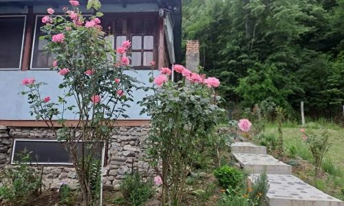 Cabana Elyana Mraconia Eșelnița