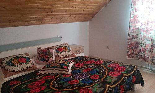 Casa Bizau Vișeu de Sus